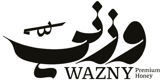 wzni.online