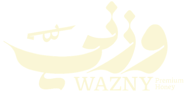 wzni.online